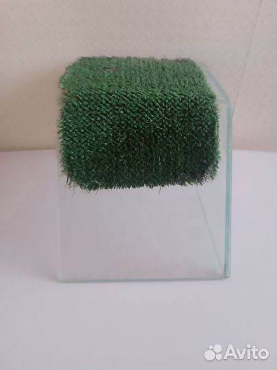 Островок для черепахи