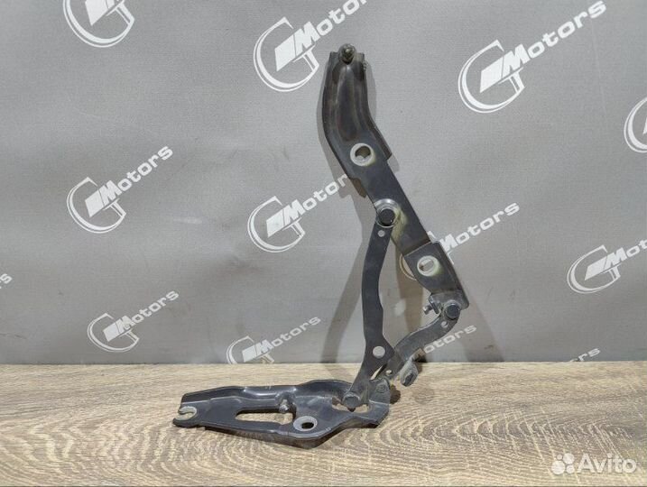 Петля двери багажника Bmw 320I E90 N46B20BD 2009