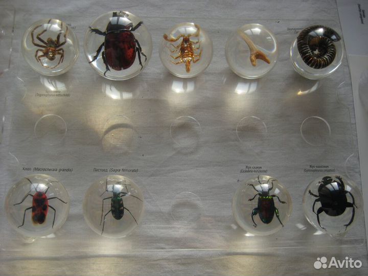 Чудеса природы насекомые минералы журнал Eaglemoss