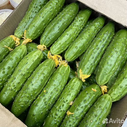 Доставка овощей и фруктов