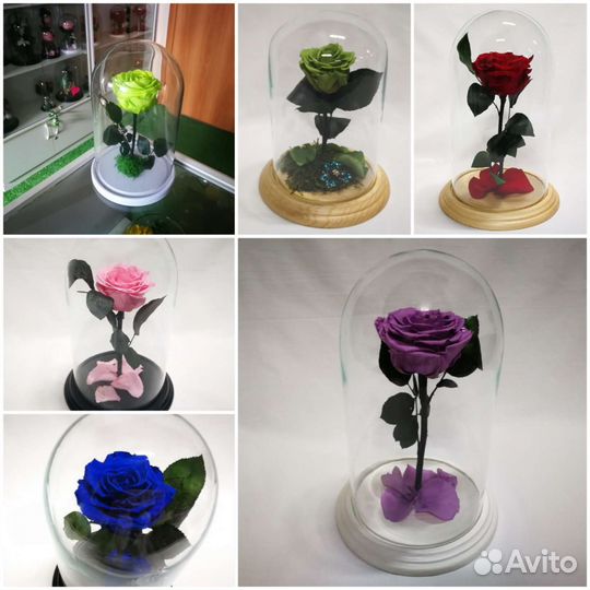 Роза в колбе оптом - много разных, от