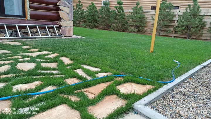 Рулонный газон