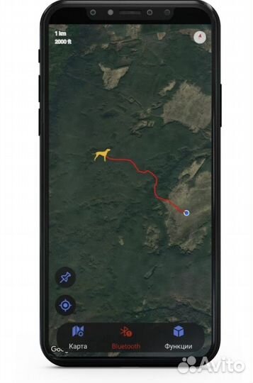 Gps ошейник для собак и кошек