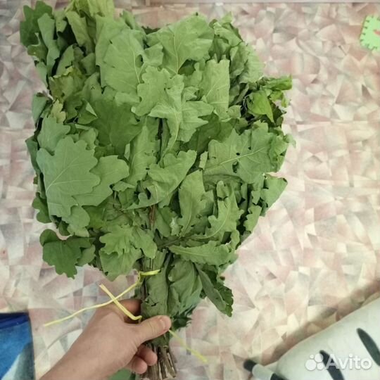 Дубовые и березовые веники для бани 2022 год