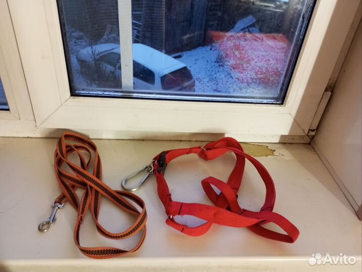 Для небольшой собачки