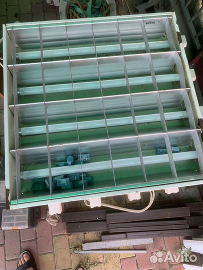 Лампа дневного света