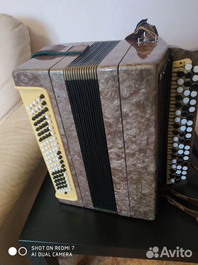 Баян тула 202