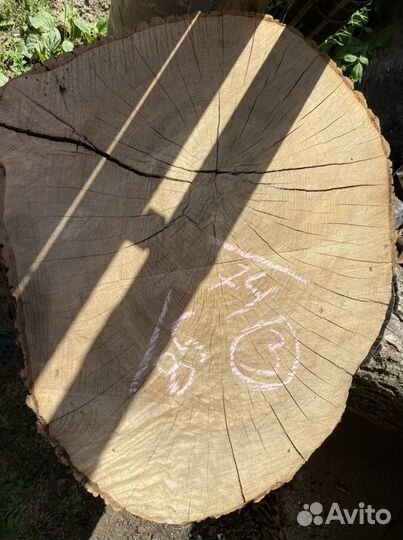 Спил (слэб) ясеня