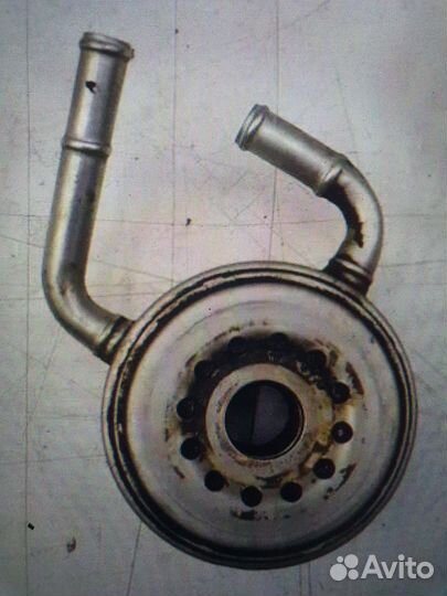 Радиатор масляный Nissan X-trail T31 2007-2014