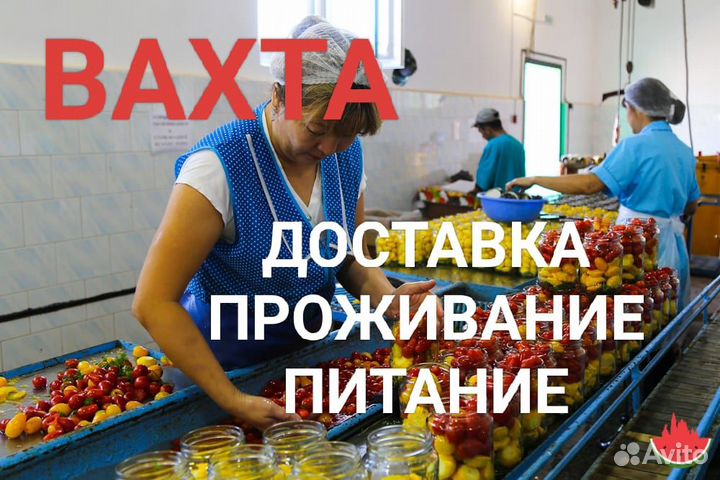 Сортировщик на завод Вахта проезд+питание+жилье