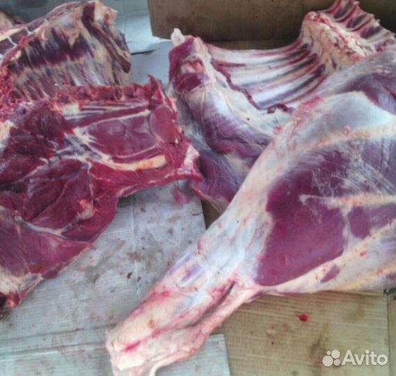 Мясо говядина