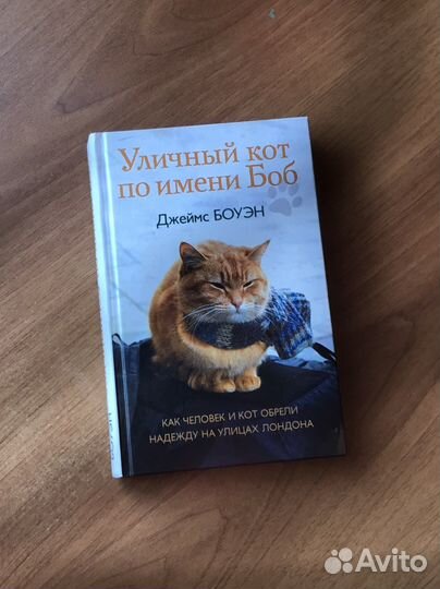 Книга «Уличный кот по имени Боб» Джеймс Боуэн