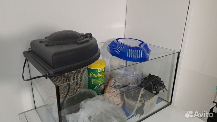 Террариум для красноухой черепахи