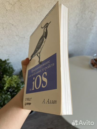 Программирование для мобильных устройств на iOS