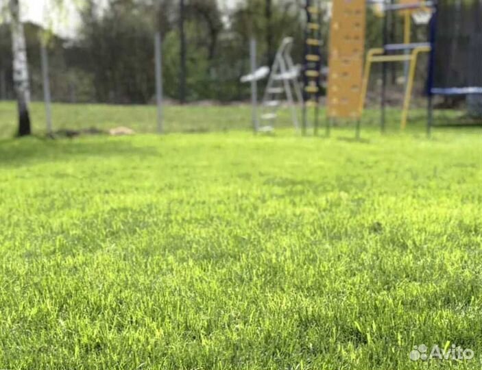 Семена газона DLF THE 1 универсальный