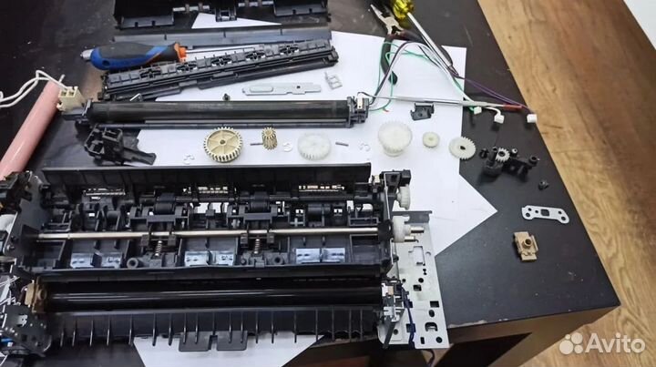 Ремонт и обслуживание принтера/Выезд на дом