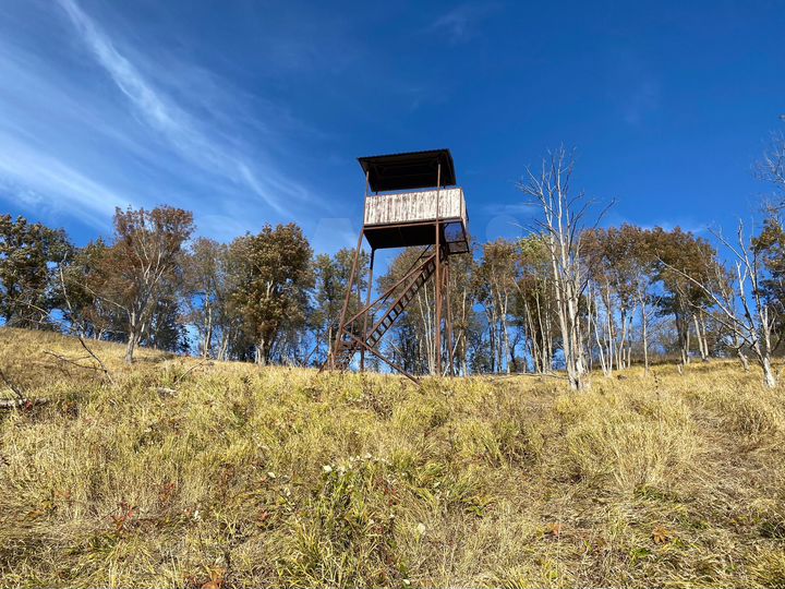 Участок 25 га (СНТ, ДНП)