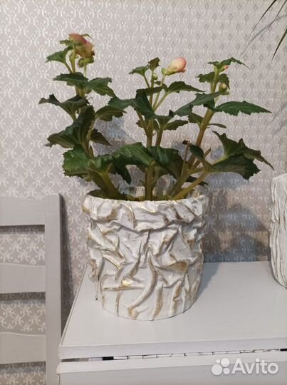 Кашпо горшок для цветов