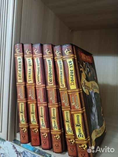 Коты Воители, Книги для детей и подросков