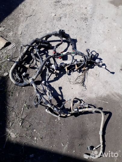 Проводка моторного отсека Toyota Corolla E15