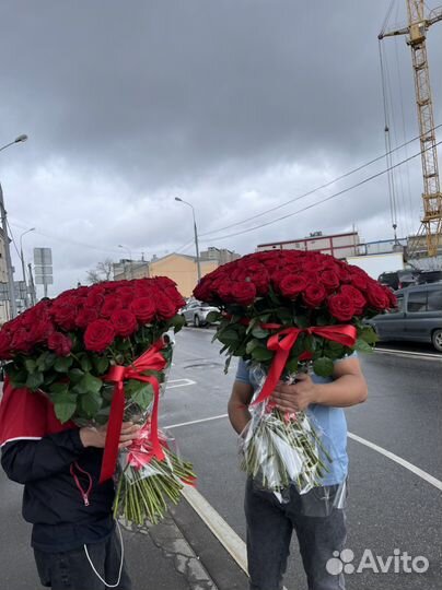 Розы шикарный