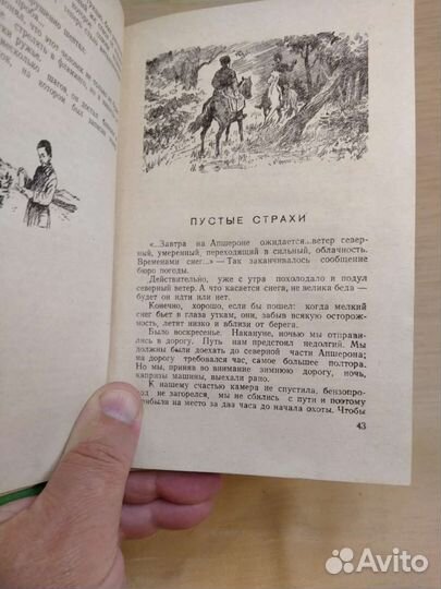 Книга Огни зажглись