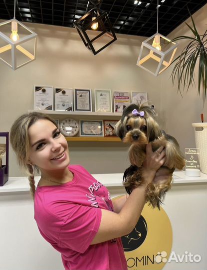 Услуги грумера