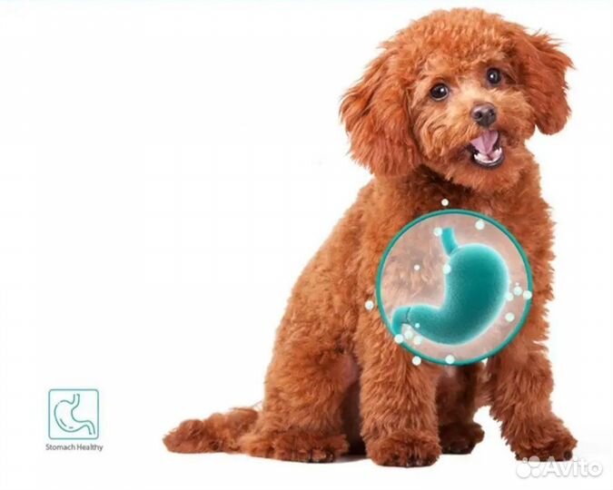 Сухое молоко для котят и щенков, с бутылочкой