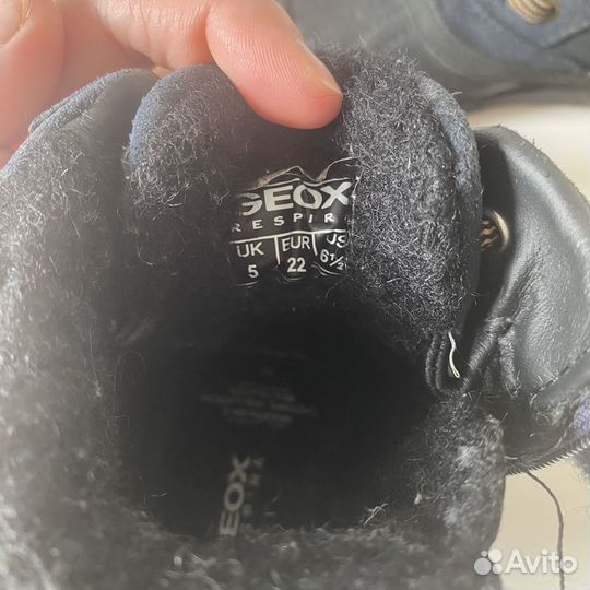 Демисезонные ботинки geox 22