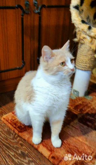 Ой как хочется домой нашей Лизоньке