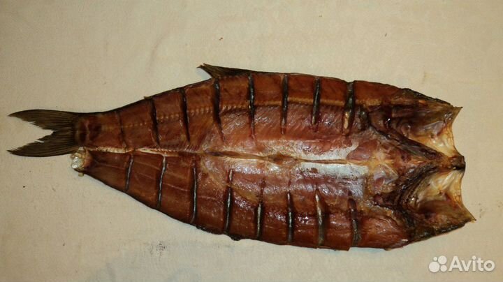 Сом, жерех и толстолобик балык холодного копчения