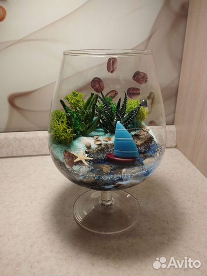 Цветочная композиция, флорариум, цветы