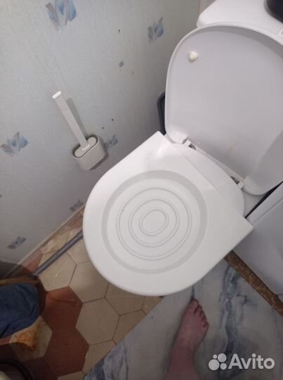 Лоток для кошек большой + лоток на унитаз