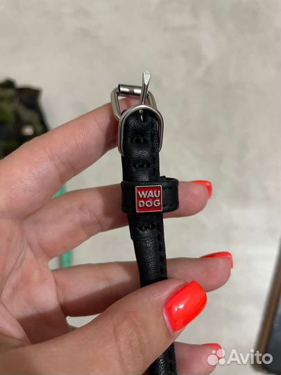 Ошейники для маленькой собаки