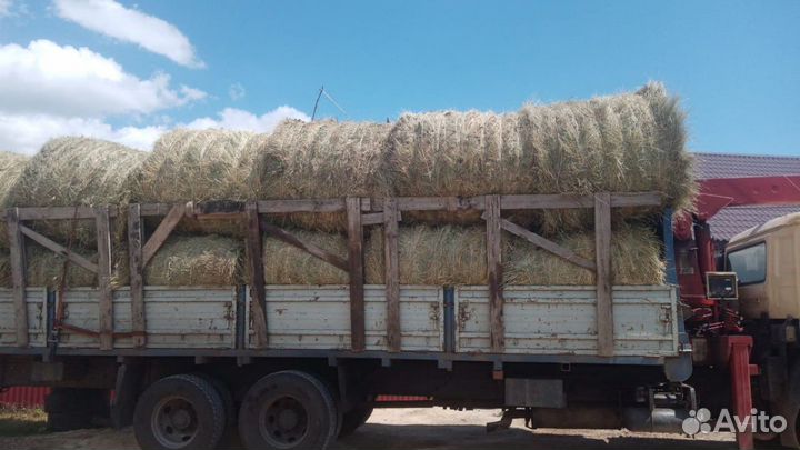 Сено,солома зелень отличного качества