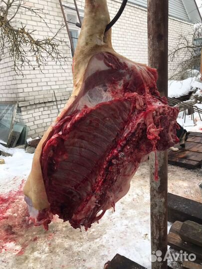 Мясо свинина домашняя