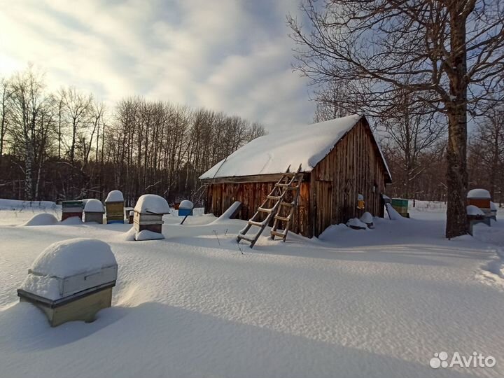 Дом с пасекой