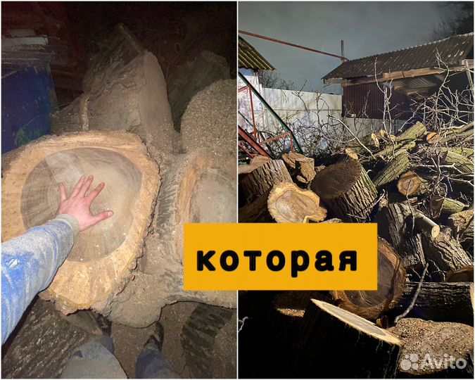 Спил деревьев / Удаление / Вывоз