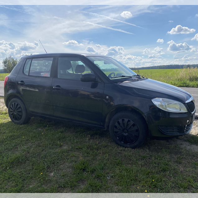 Skoda Fabia 1.4 MT, 2010, 253 000 км