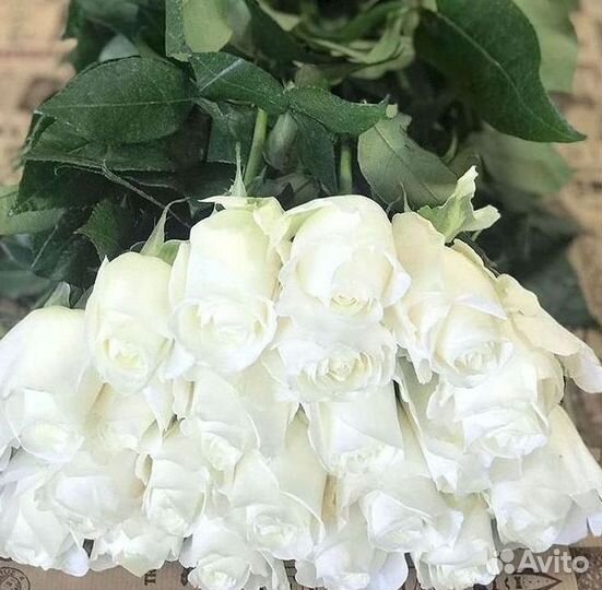 Высокие розы Гигантские розы Доставка цветов