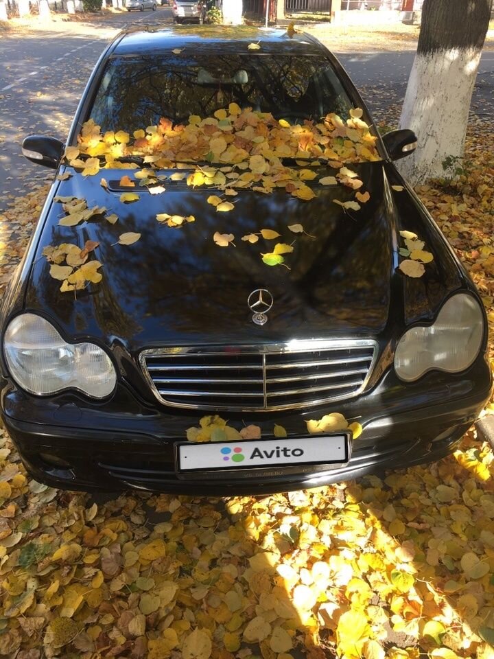 Mercedes-Benz C-класс: фото владельца
