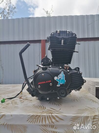 Двигатель 165fmm
