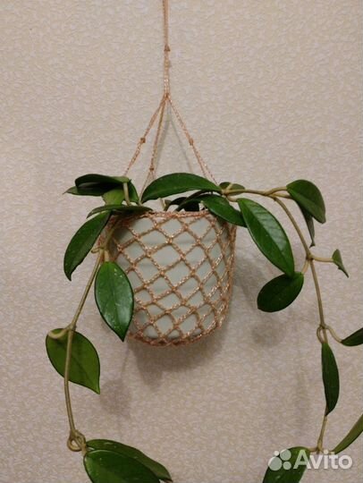 Кашпо для цветов