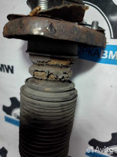 Амортизатор задний Bmw X5 E53 M57D30 306D2 2006
