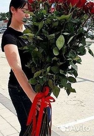 Высокие розы