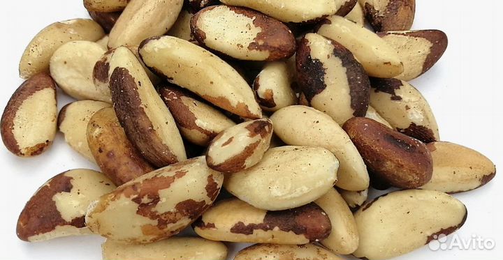 Бразильский орех медиум