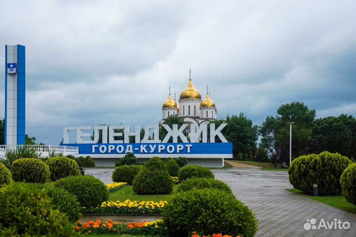 Консультирование