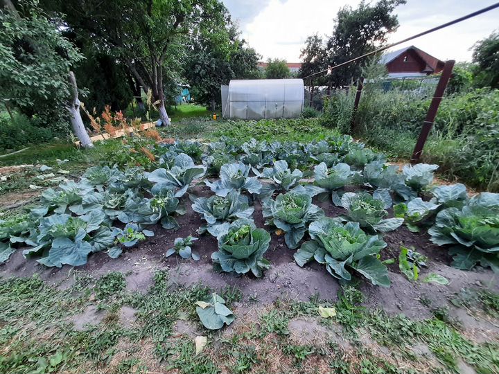 Участок 11,8 сот. (ИЖС)