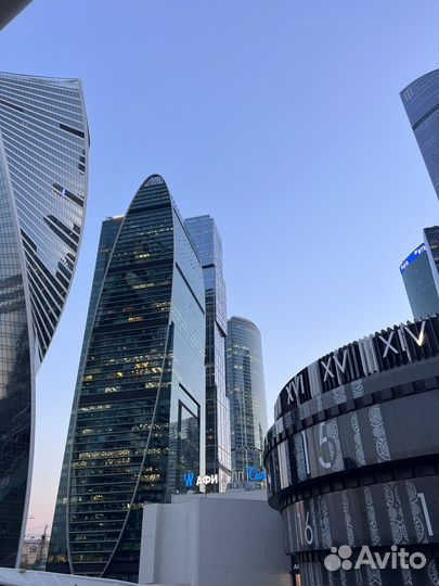 Свой человек в Москве