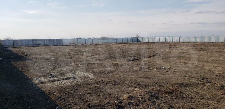 Участок 50 сот. (промназначения)